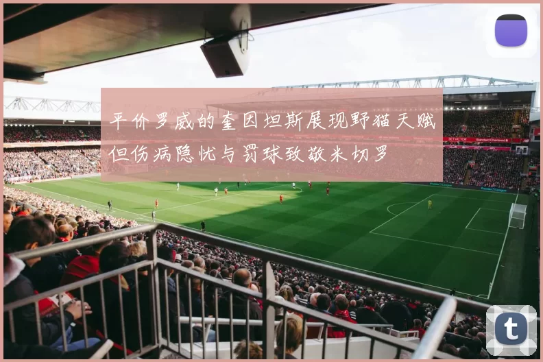 平价罗威的奎因坦斯展现野猫天赋但伤病隐忧与罚球致敬米切罗